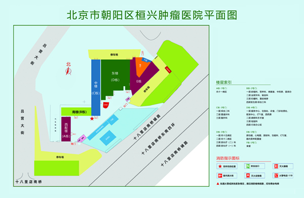 啊哈插进来了北京市朝阳区桓兴肿瘤医院平面图